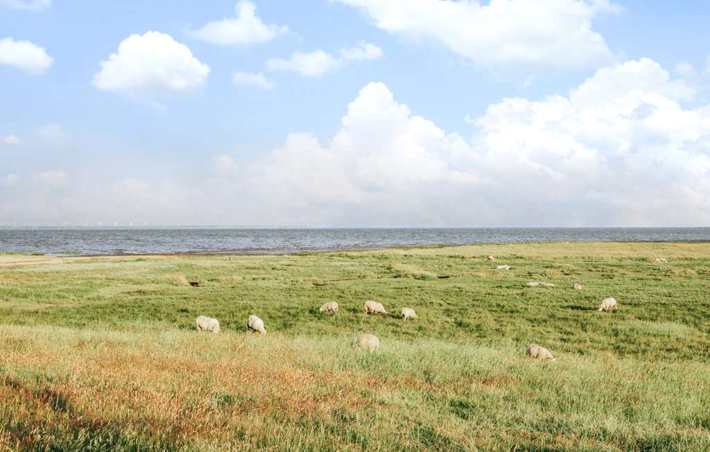 Feriehuse - Toftum , Danmark - R10032 42