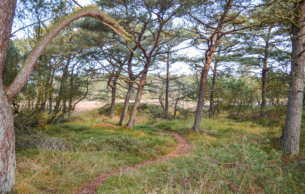 Feriehuse - Sønderstrand , Danmark - R10176 32