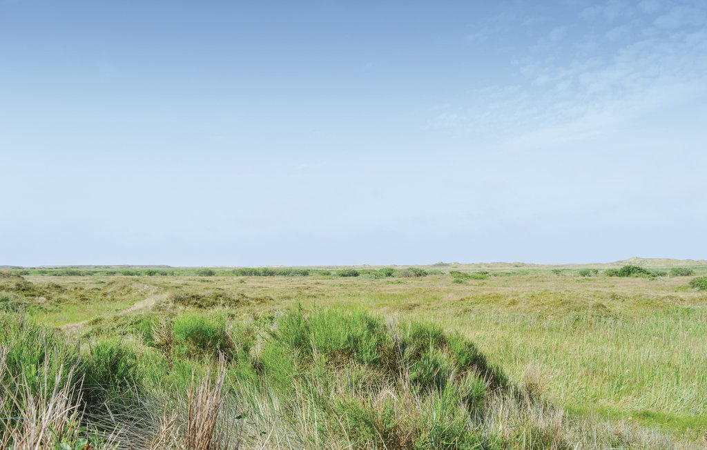 Feriehus - Toftum , Danmark - R10581 29