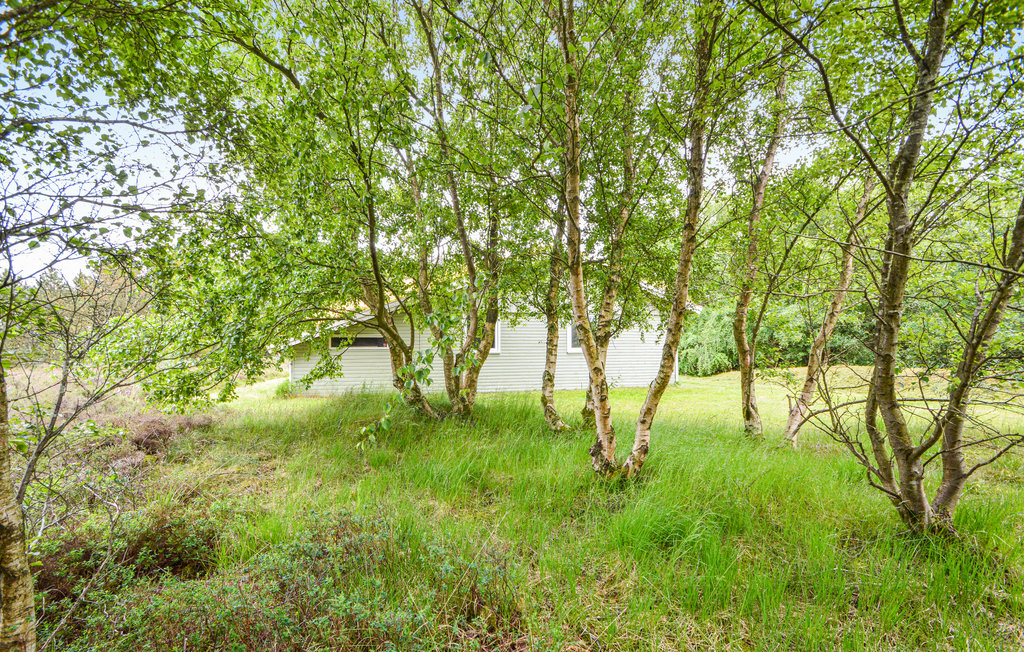 Feriehuse - Bolilmark , Danmark - R10696 21