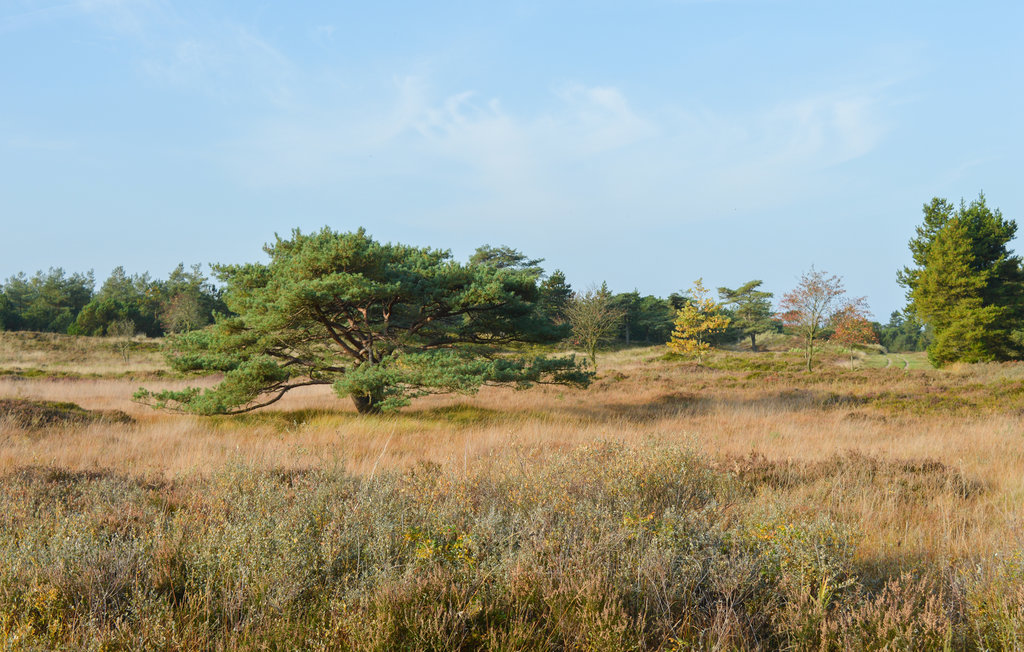 Ferienhaus - Sønderstrand , Dänemark - R10911 33