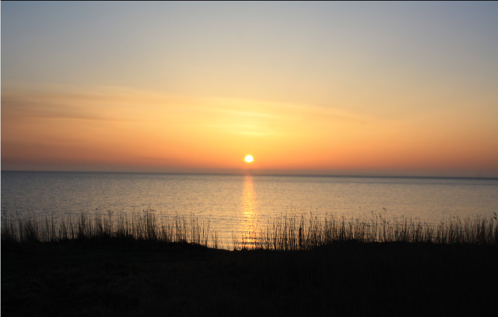 Ferienwohnung - Havneby , Dänemark - R10033 20