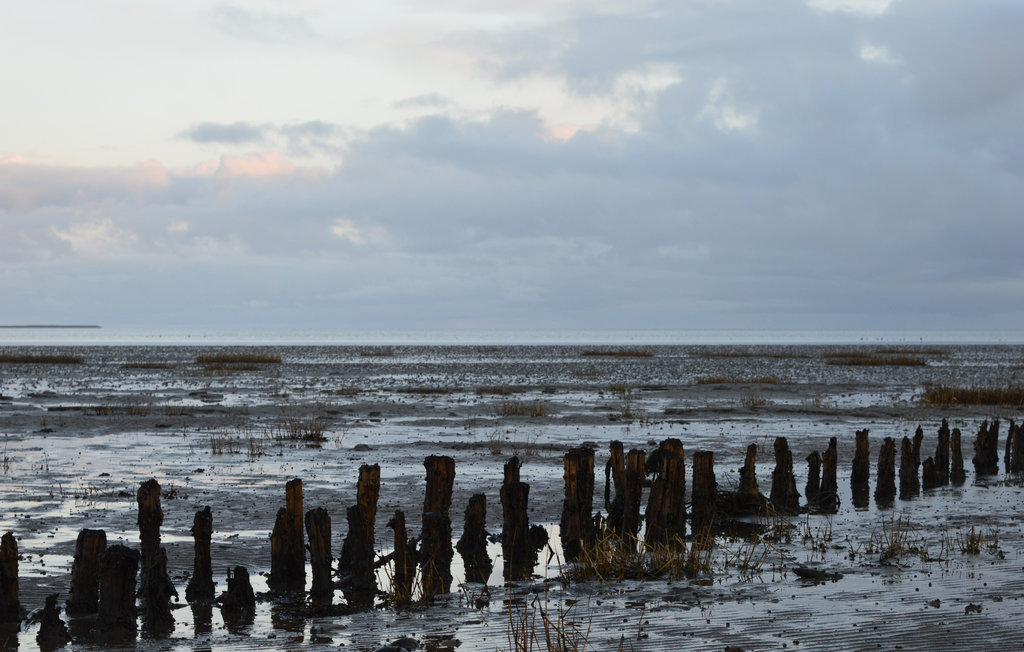 Ferienhaus - Havneby , Dänemark - R10152 22