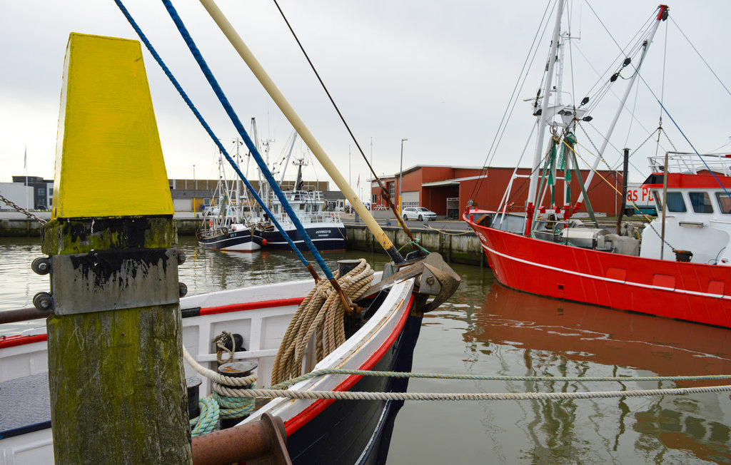 Ferienhaus - Kromose , Dänemark - R10158 24