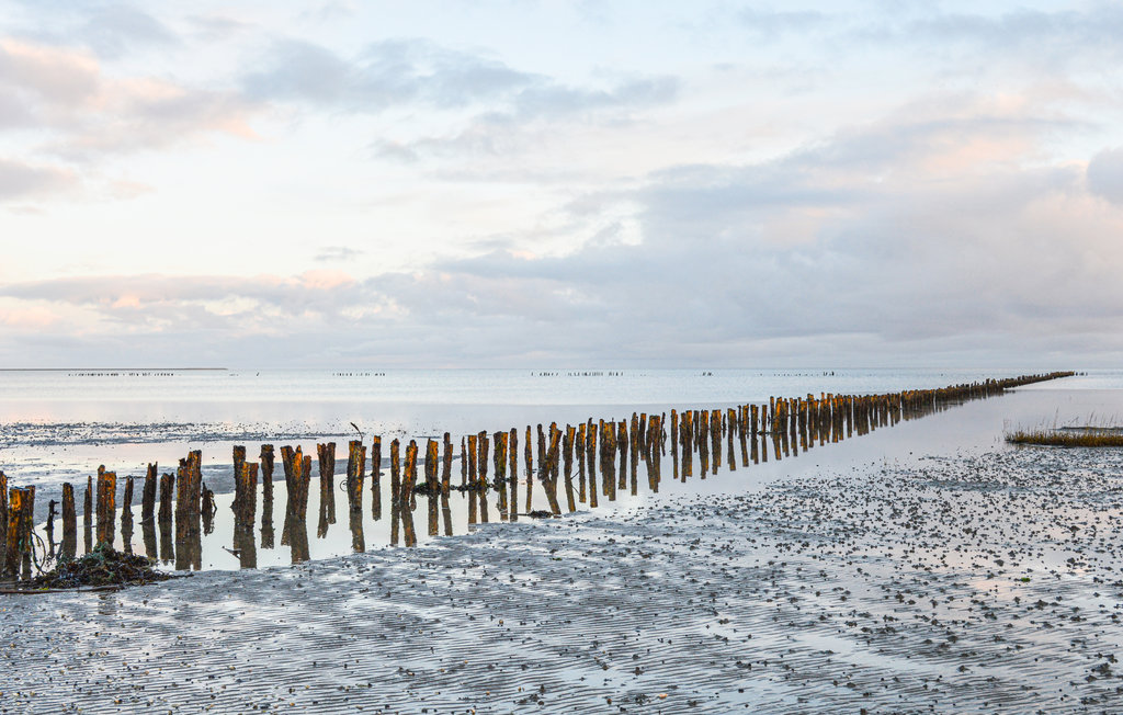Feriehuse - Sønderstrand , Danmark - R10357 23
