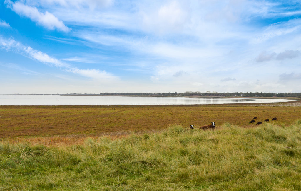 Ferienhaus - Sønderstrand , Dänemark - R10676 20