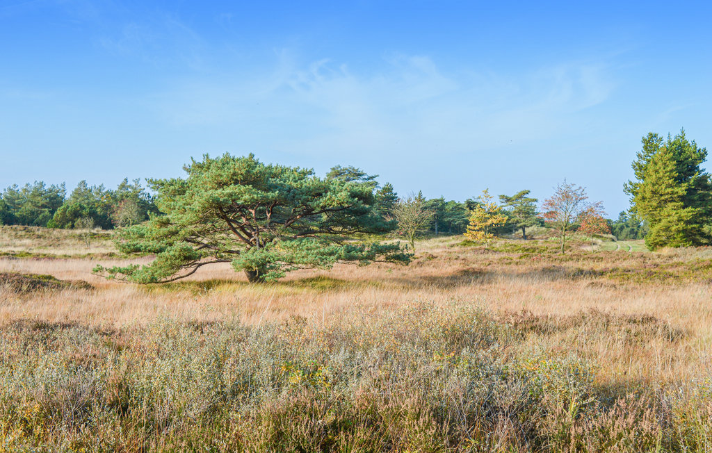 Feriehuse - Sønderstrand , Danmark - R10108 37
