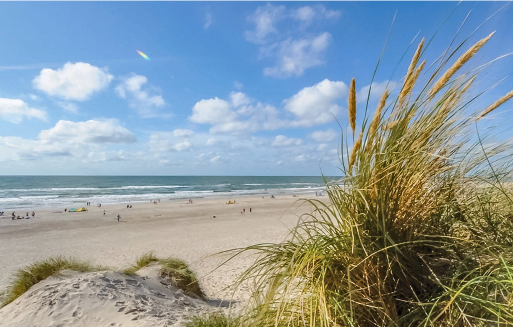 Ferienhaus - Kongsmark , Dänemark - R10161 29