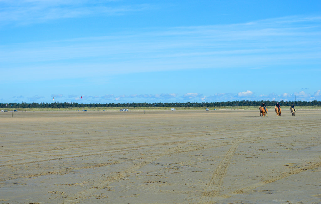 Ferienhaus - Østerhede , Dänemark - R10173 23