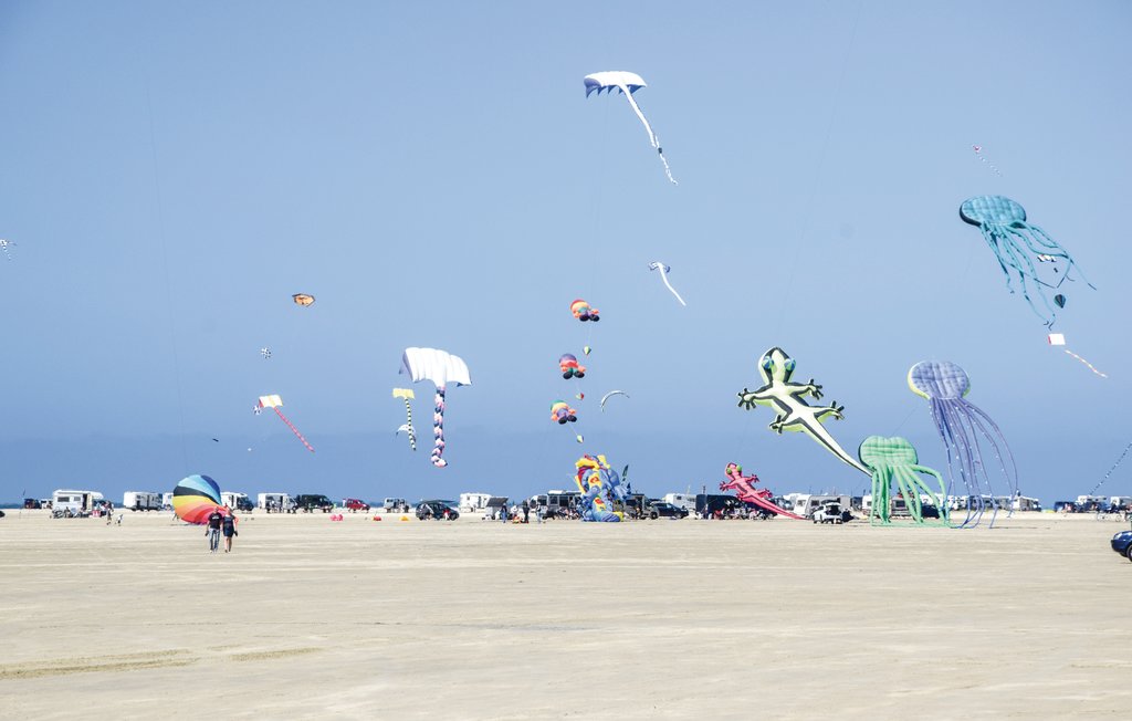 Ferienhaus - Kongsmark , Dänemark - R10276 20