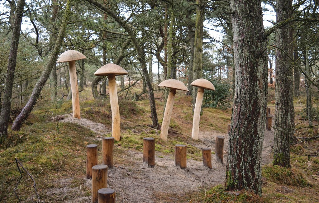 Ferienhaus - Kongsmark , Dänemark - R10660 26