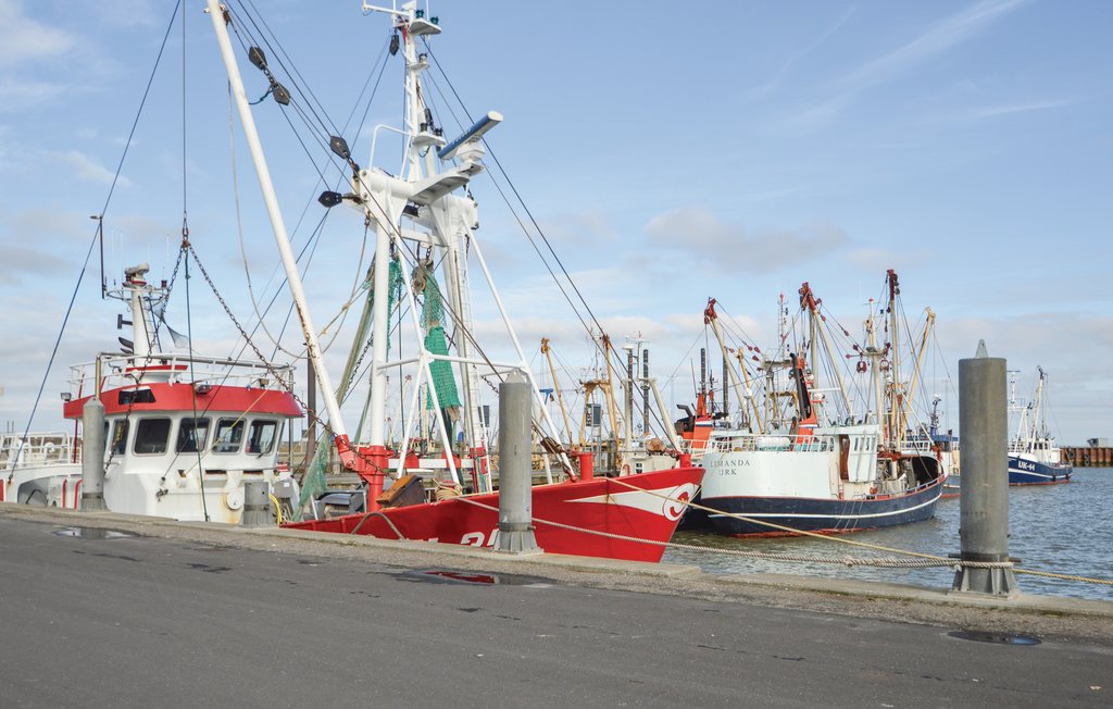 Lejlighed - Sønderstrand , Danmark - R10782 16
