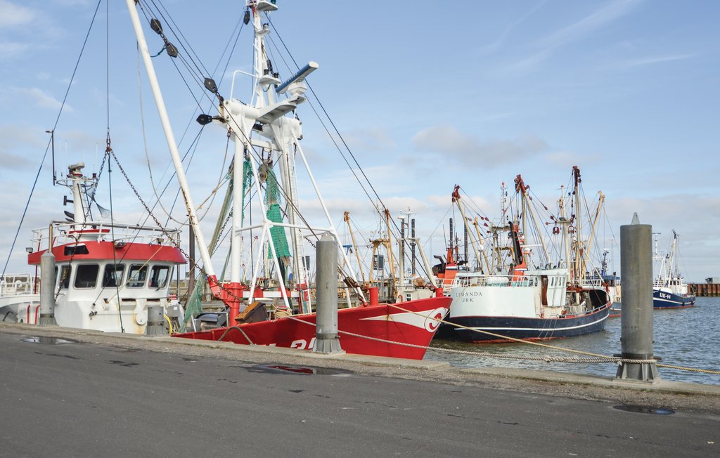 Ferienhaus - Havneby , Dänemark - R10790 20