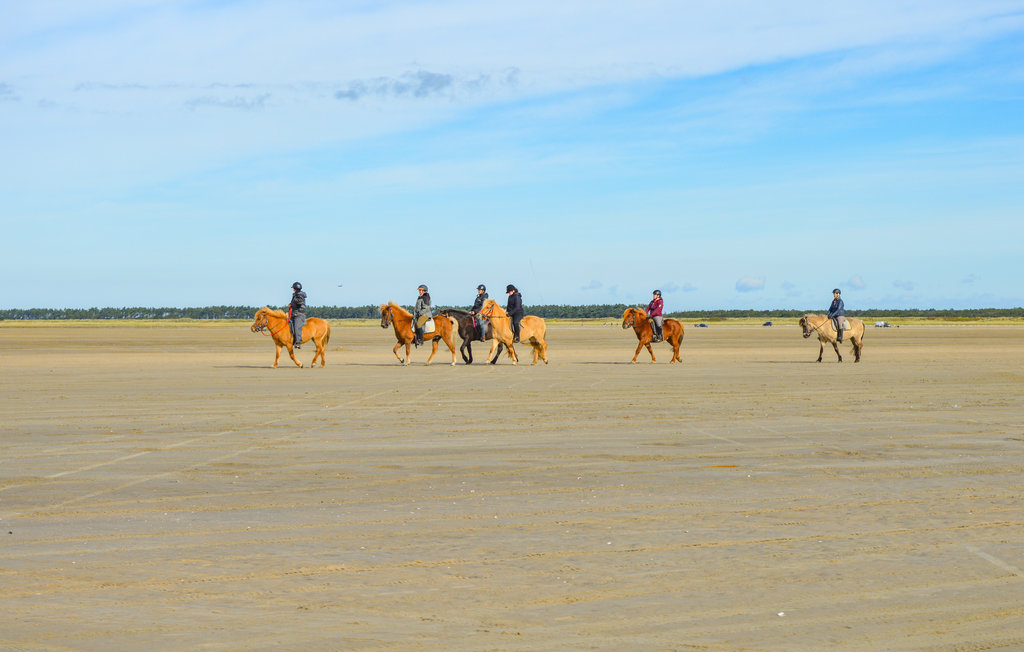 Ferienhaus - Sønderstrand , Dänemark - R10853 7