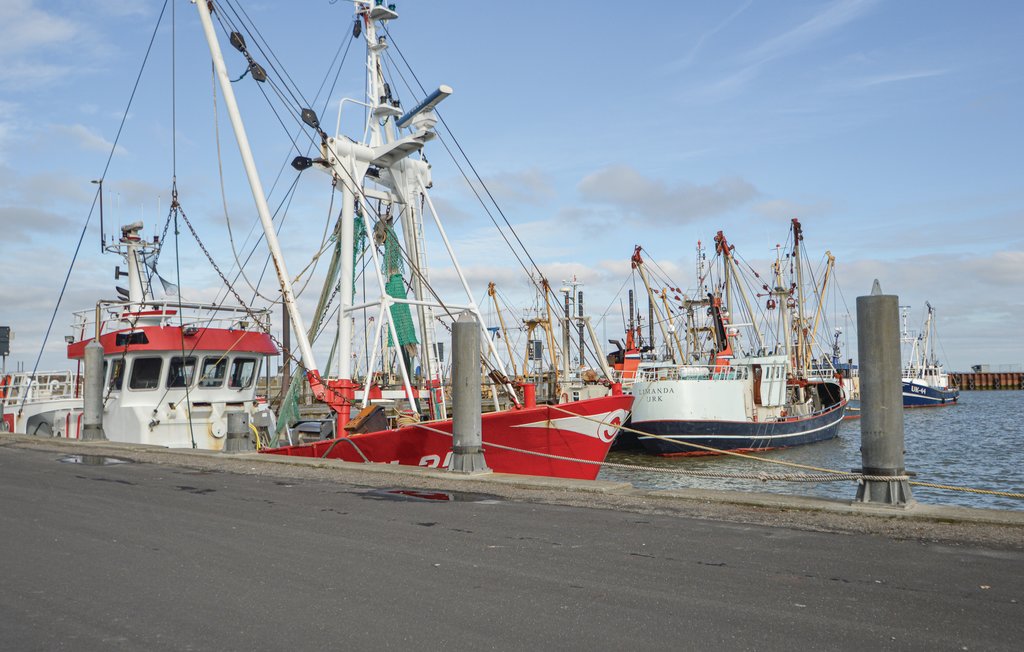 Ferienhaus - Toftum , Dänemark - R10916 35