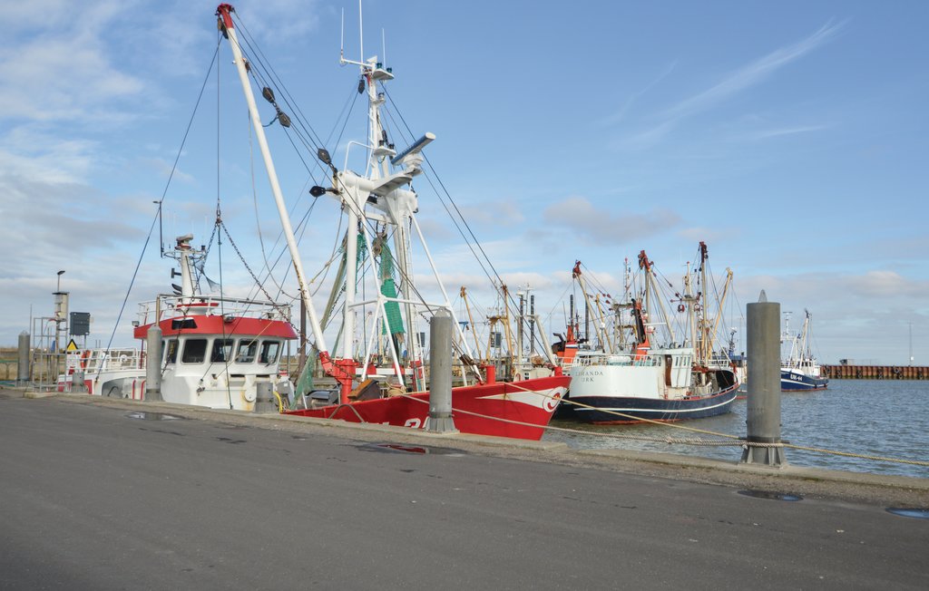 Ferienhaus - Havneby , Dänemark - R10194 27