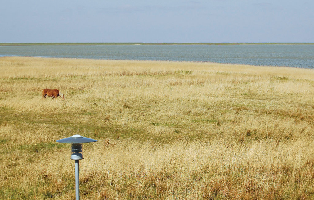 Feriehuse - Kongsmark , Danmark - R10234 19