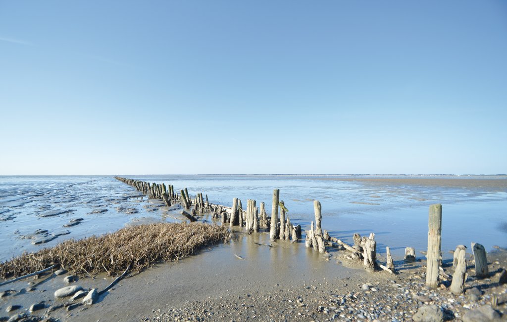 Feriehus - Bolilmark , Danmark - R10997 14