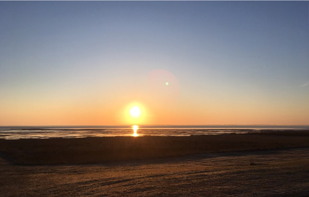 Ferienwohnung - Havneby , Dänemark - R10033 21