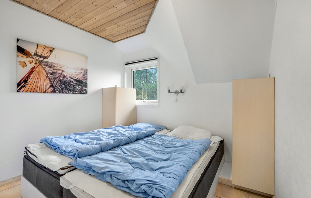 Ferienhaus - Kongsmark , Dänemark - R10213 23