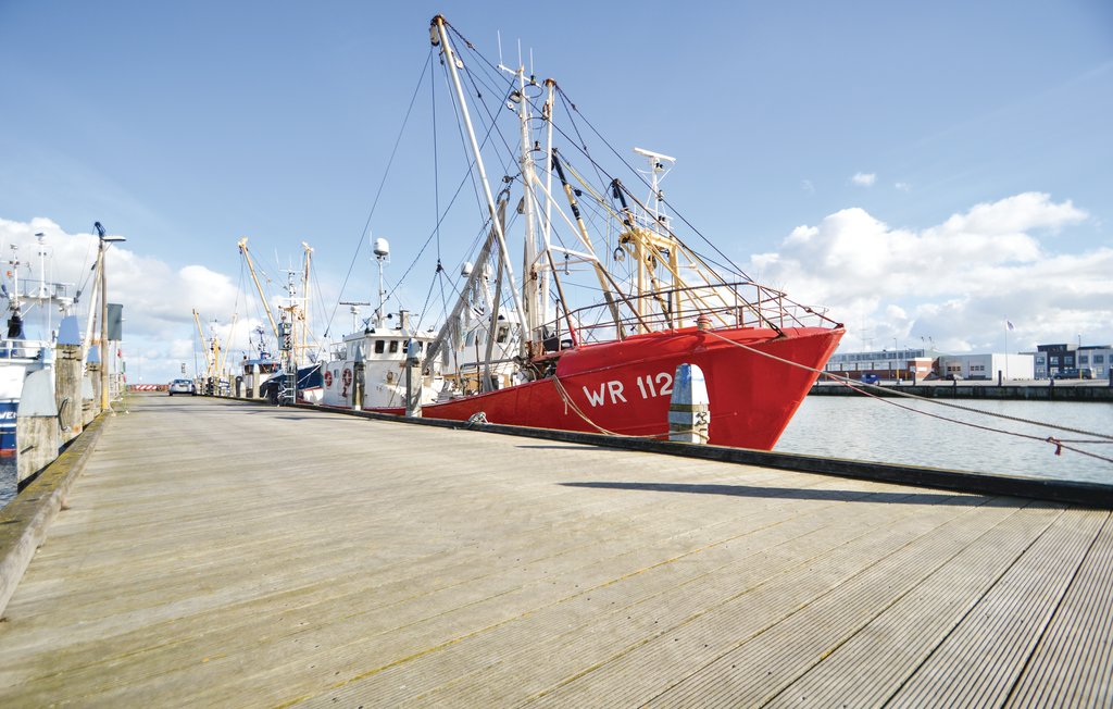 Ferienwohnung - Havneby , Dänemark - R10408 19