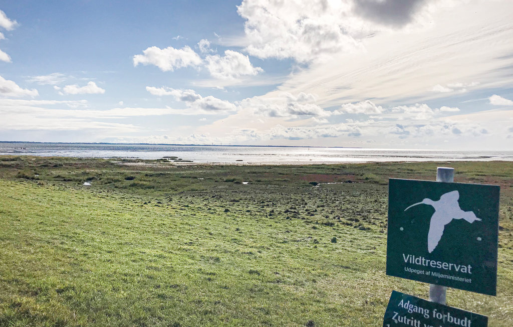 Ferienwohnung - Havneby , Dänemark - R10582 39