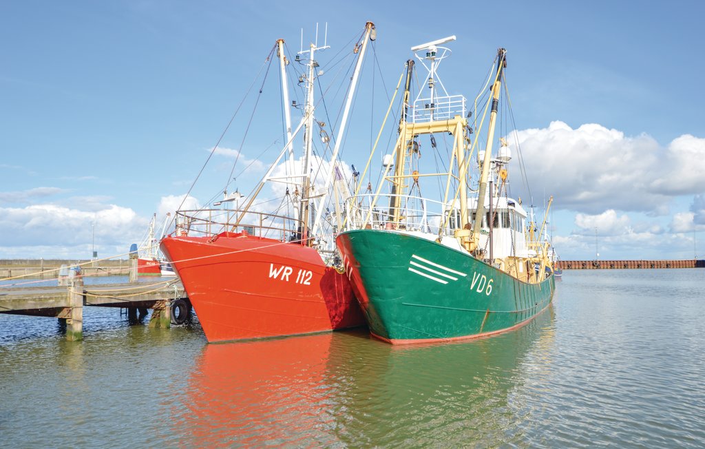 Ferienhaus - Havneby , Dänemark - R10663 22