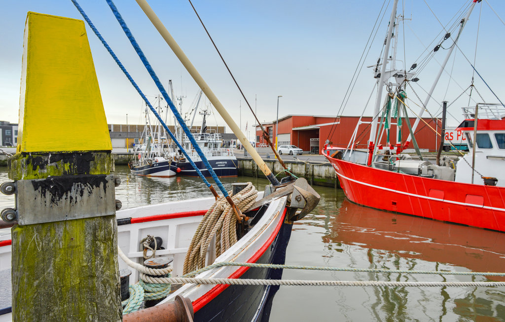 Ferienhaus - Østerhede , Dänemark - R10002 27