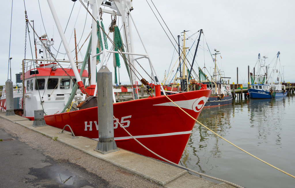 Feriehuse - Bolilmark , Danmark - R10010 25