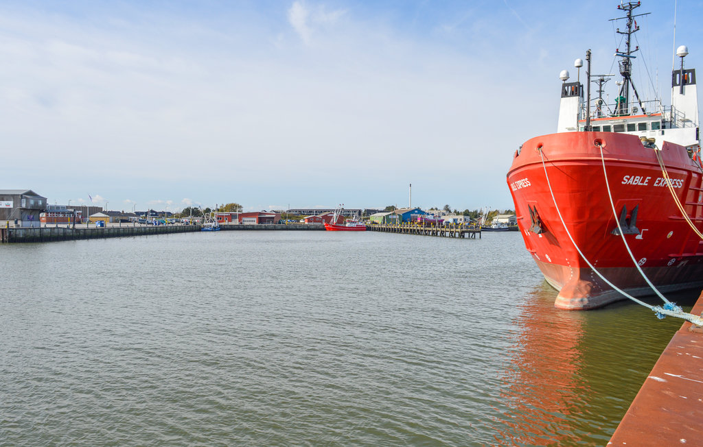 Feriehuse - Kongsmark , Danmark - R10620 20