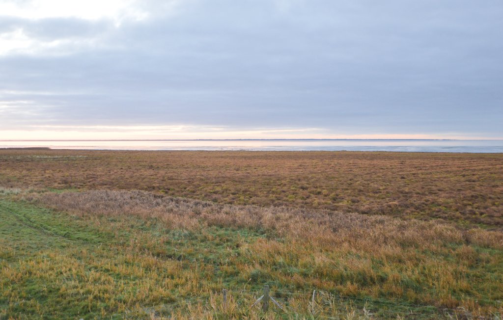 Feriehuse - Vesterhede , Danmark - R10188 33