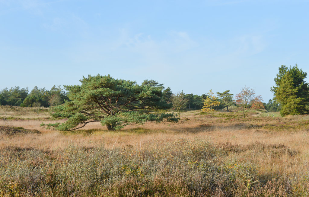 Ferienhaus - Kongsmark , Dänemark - R10325 20