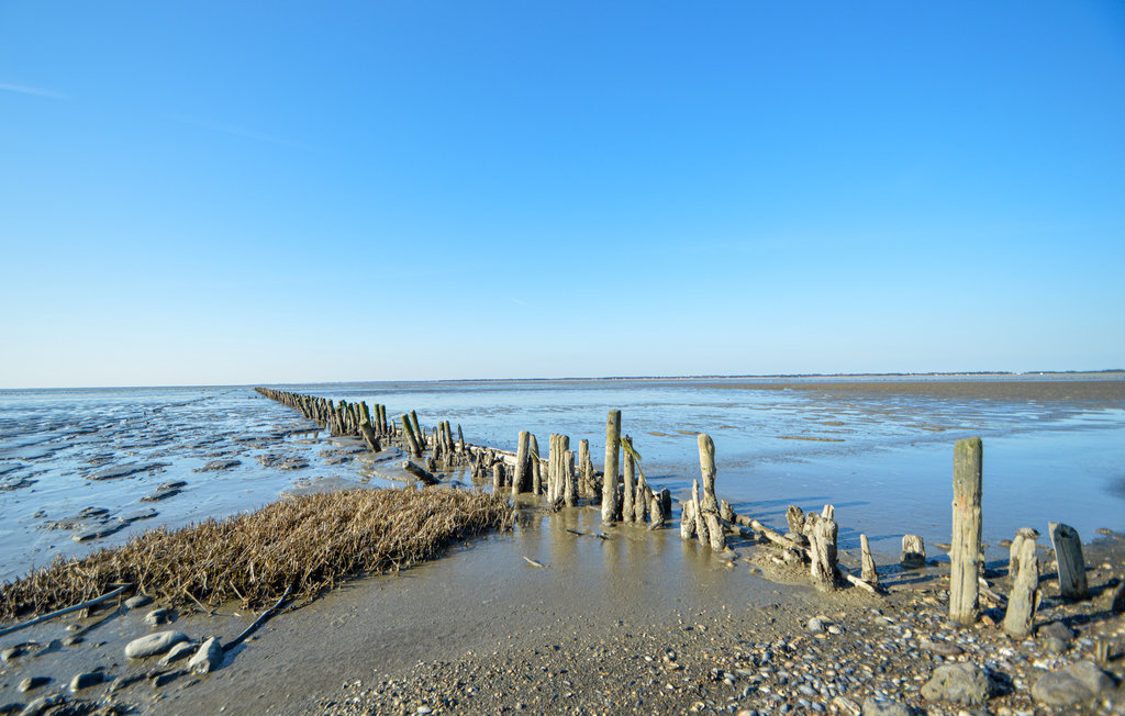 Feriehus - Kongsmark , Danmark - R10353 24