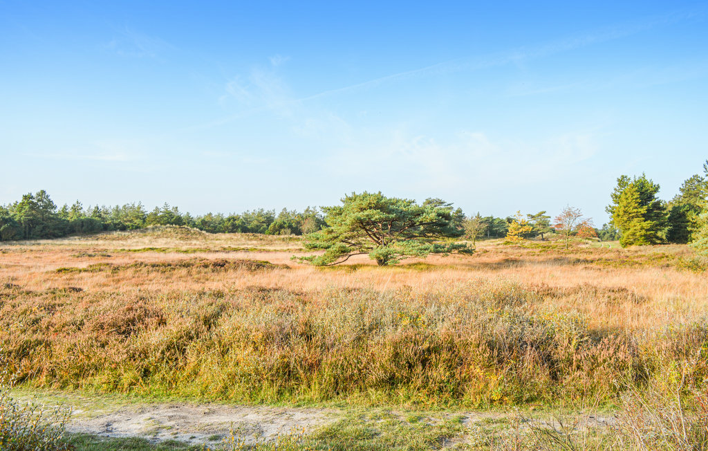 Feriehuse - Sønderstrand , Danmark - R10941 28