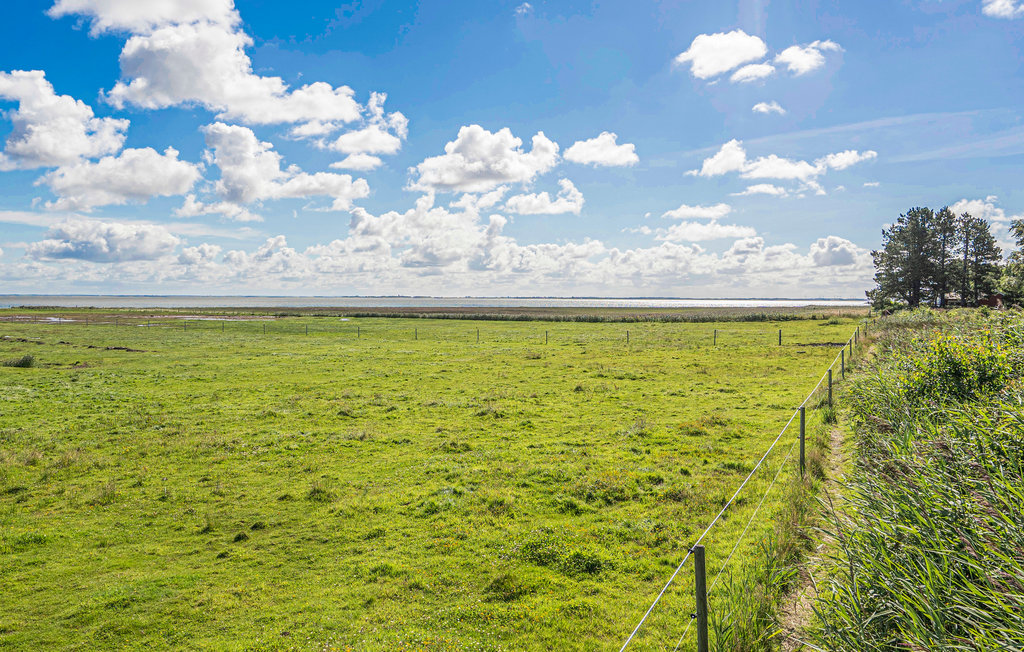 Feriehuse - Havneby , Danmark - R10005 18
