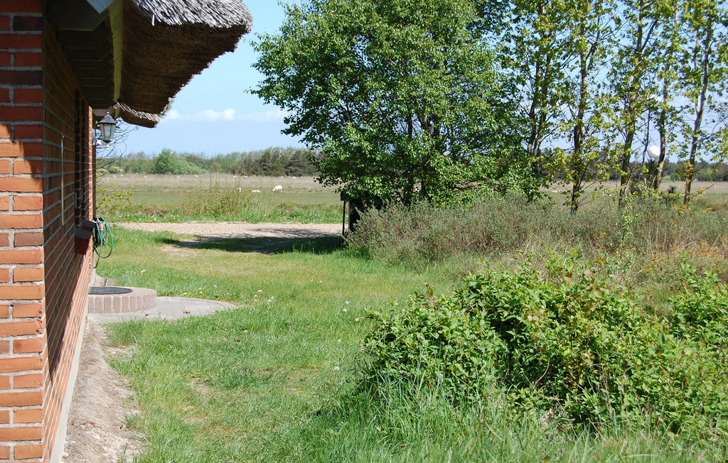 Feriehuse - Toftum , Danmark - R10705 12