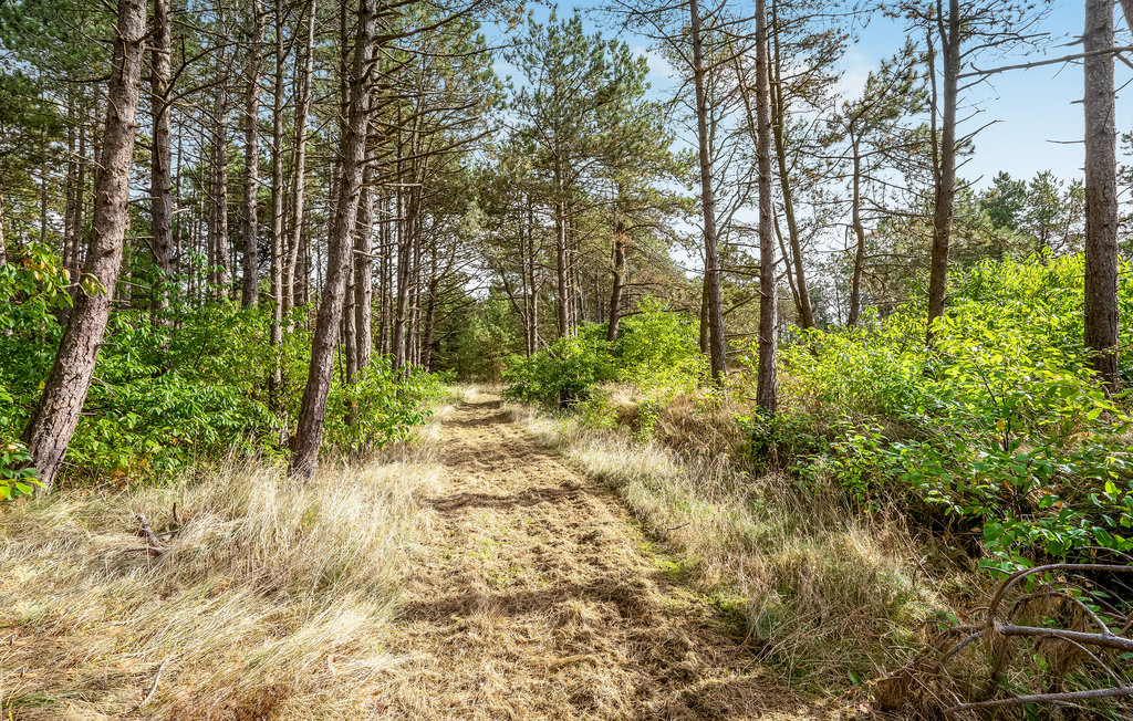 Ferienhaus - Havneby , Dänemark - R10280 14