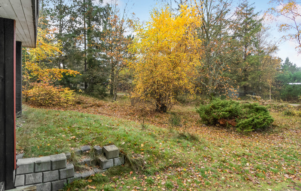 Feriehuse - Havneby , Danmark - R10027 14