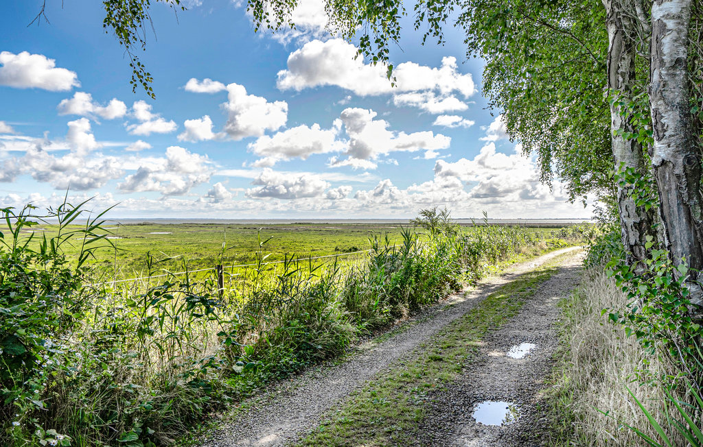 Feriehuse - Havneby , Danmark - R10005 17