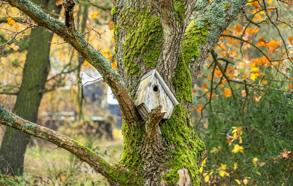 Feriehuse - Havneby , Danmark - R10027 15