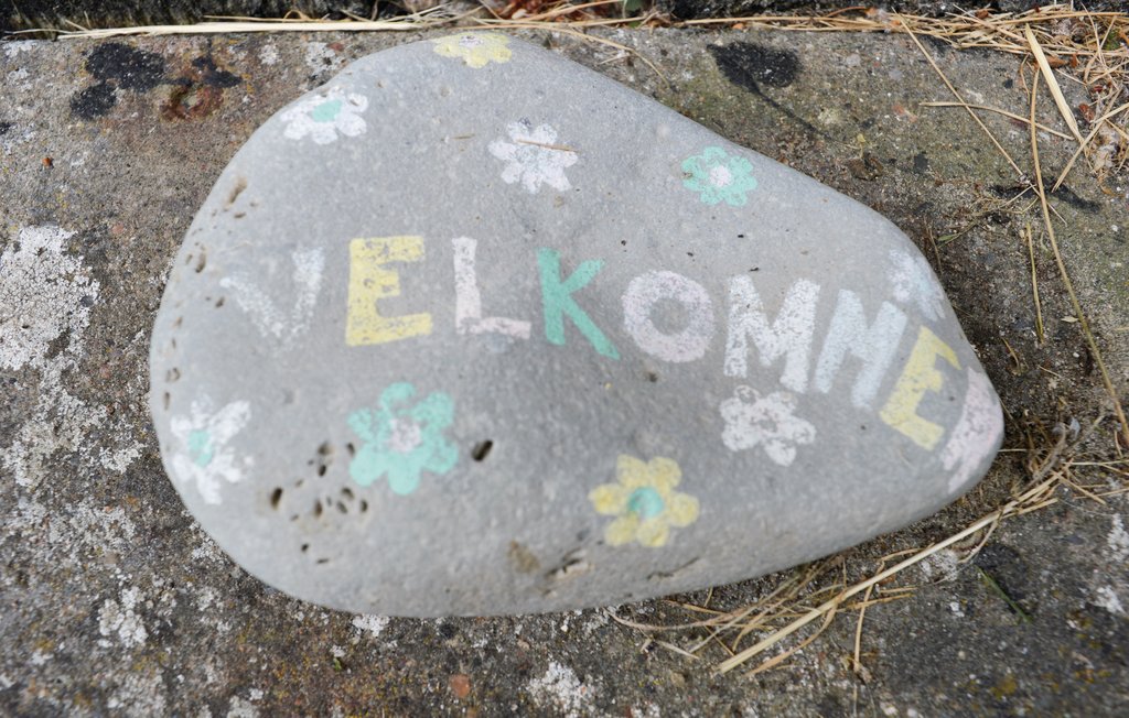 Feriehuse - Bolilmark , Danmark - R10493 7