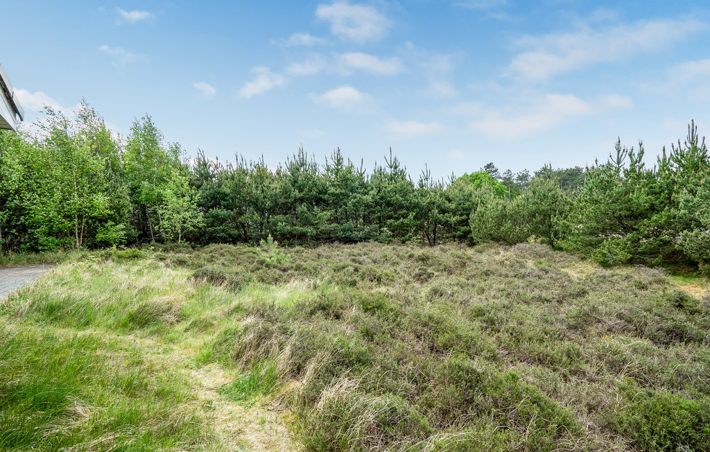 Ferienhaus - Havneby , Dänemark - R10194 10