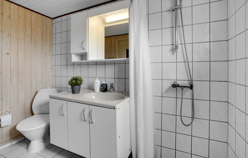 Ferienhaus - Bolilmark , Dänemark - R10613 23