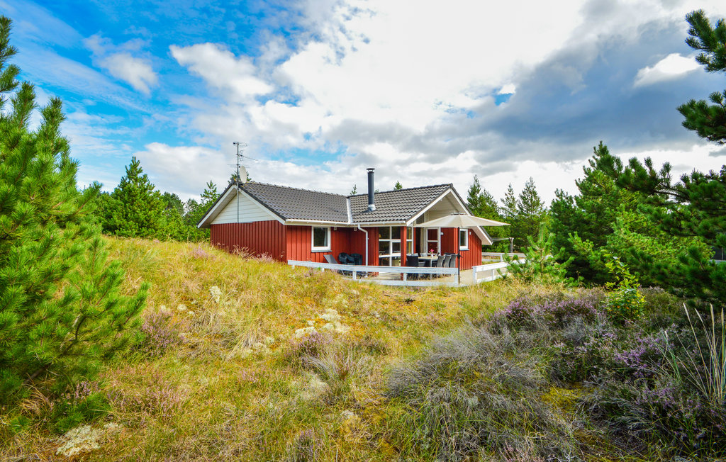 Ferienhaus - Østerhede , Dänemark - R10173 1