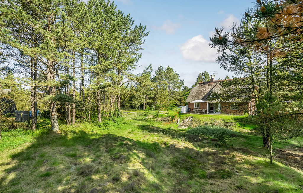 Feriehuse - Vesterhede , Danmark - R10188 12