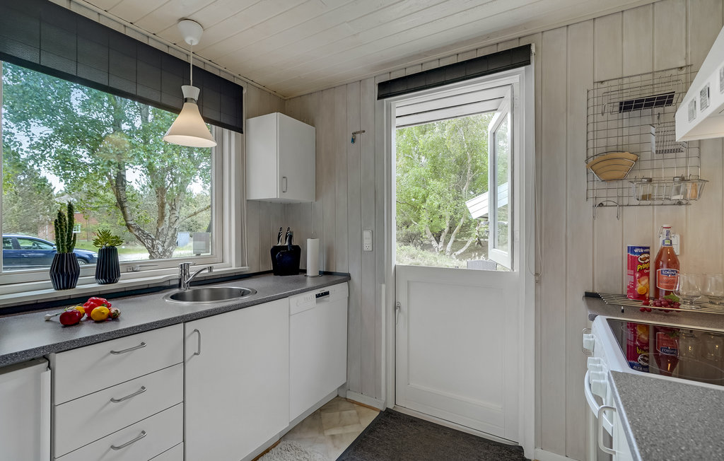 Ferienhaus - Kongsmark , Dänemark - R10660 19