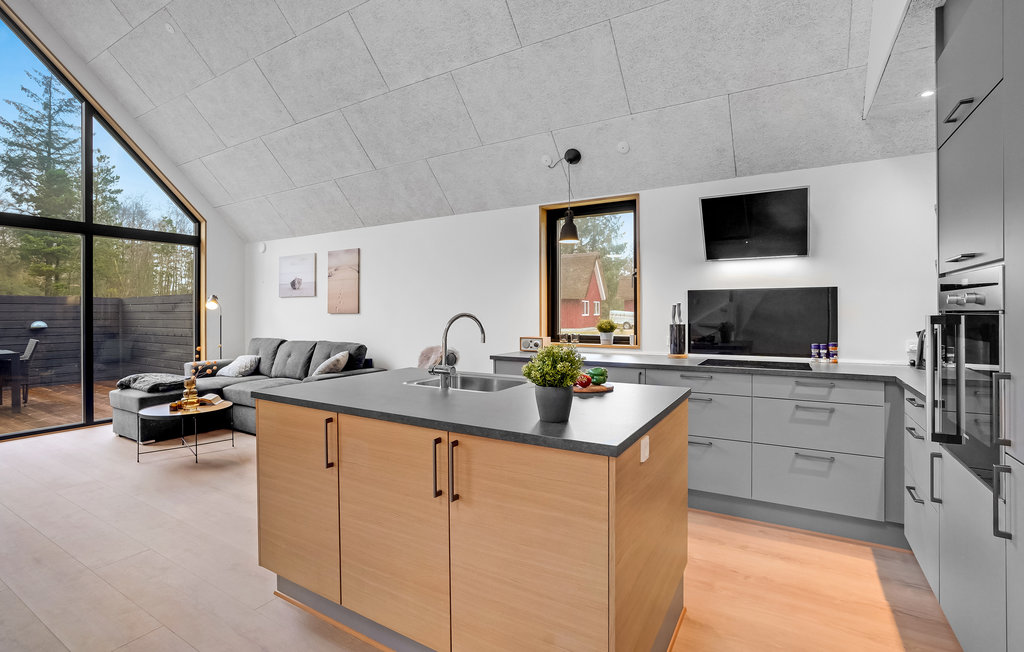 Ferienhaus - Kongsmark , Dänemark - R10053 6