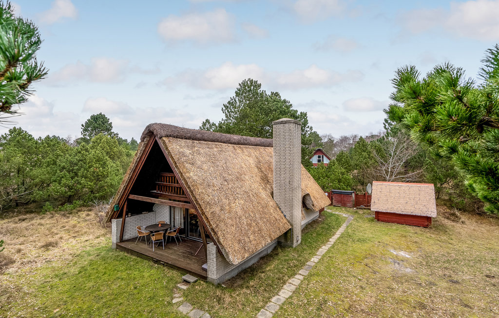Feriehus - Toftum , Danmark - R10057 1