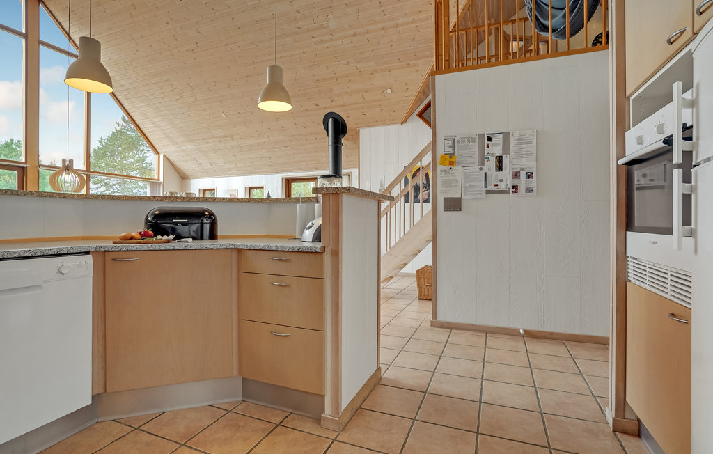 Ferienhaus - Kongsmark , Dänemark - R10102 20