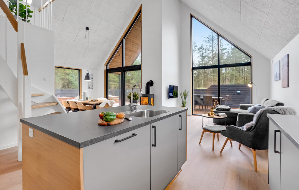 Ferienhaus - Kongsmark , Dänemark - R10053 16